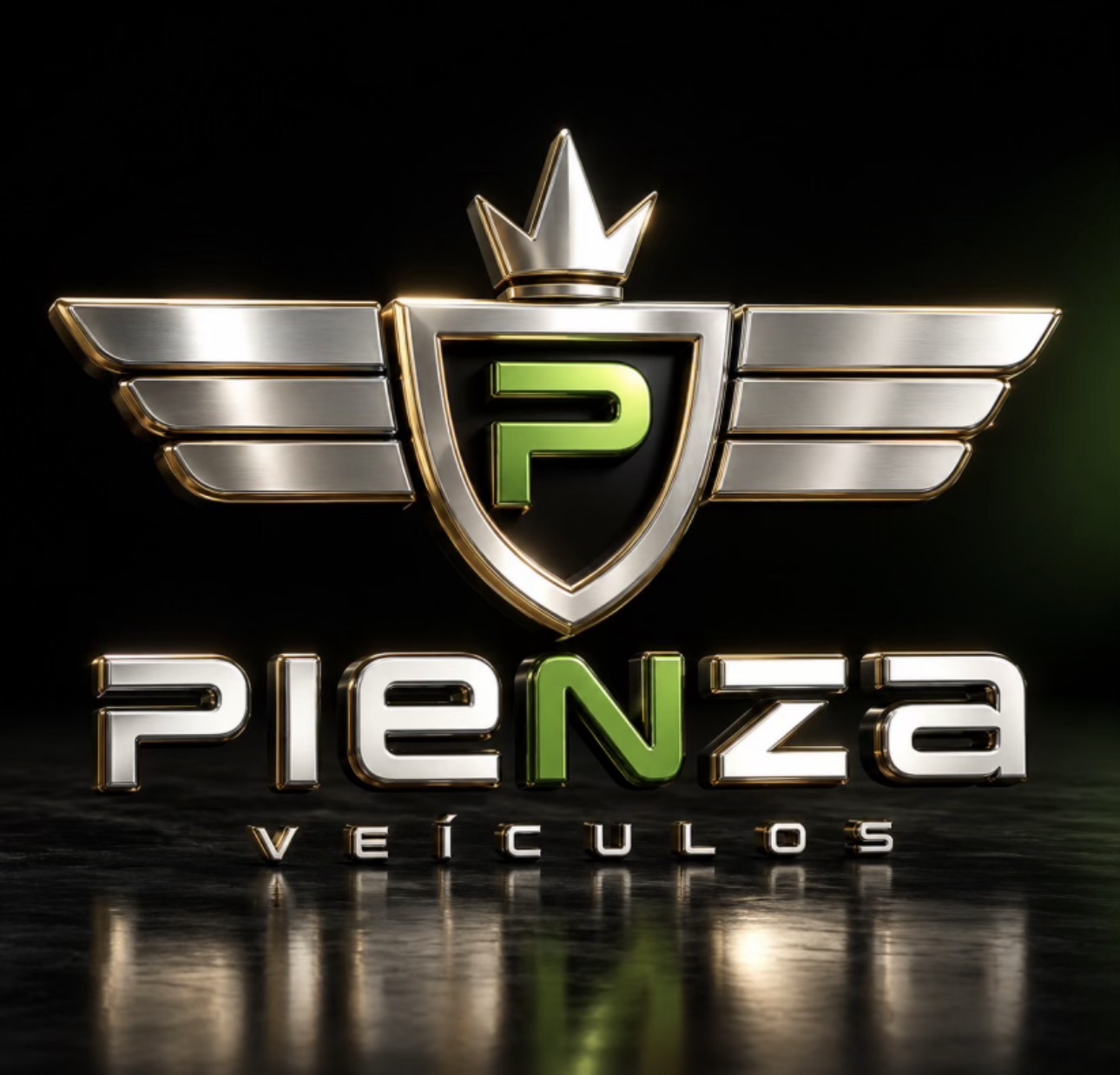 Logo de Pienza veiculos